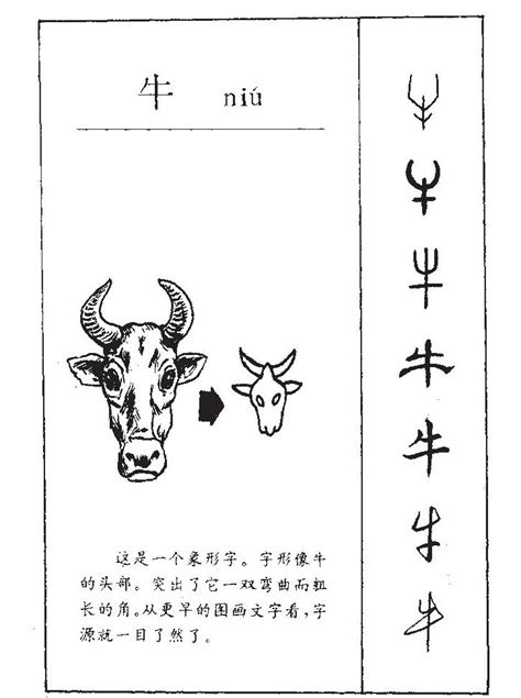 牛 古字|牛的字源字形